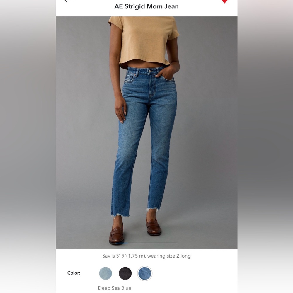American Eagle Outfitters Strigid Mom Jean 6XL